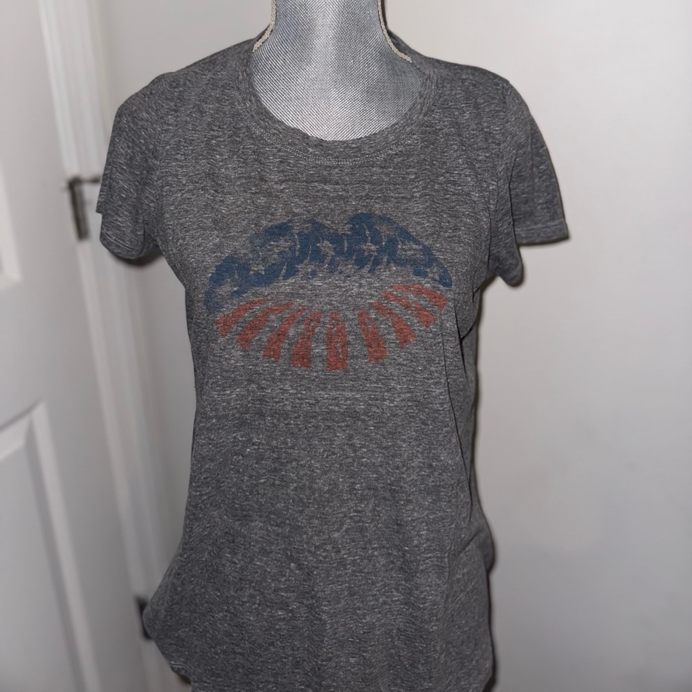 Gray Graphic USA Lips Tee